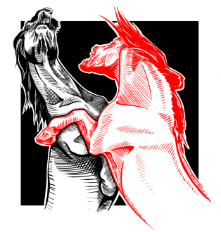 A black and a red horse fighting.