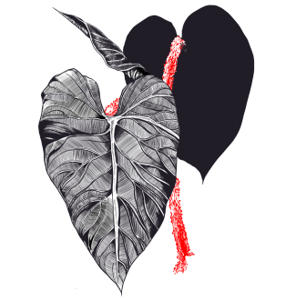 3 leaves and the fuzzy red stem of a jungle plant.